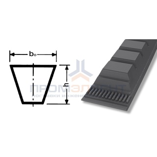 ремень xpa 1210