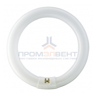 Люминесцентная лампа кольцевая Philips TL-E Circular 40W/54-765 T9 G10q, 406mm